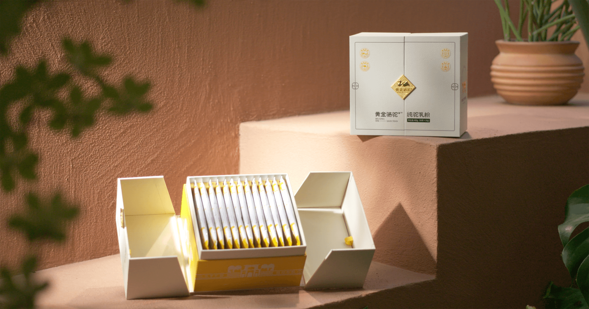 定位小众高端乳粉，jc710公海赌船推出驼奶品牌“黄金骆驼+”，角逐乳品新市场！